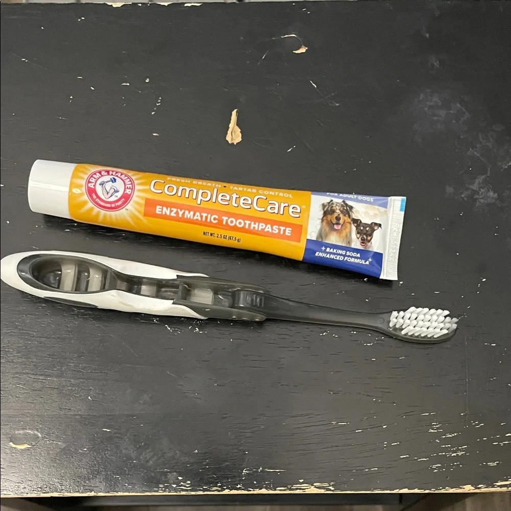Arm & Hammer CompleteCare Enzymatic Toothpaste for Dogs - Orange